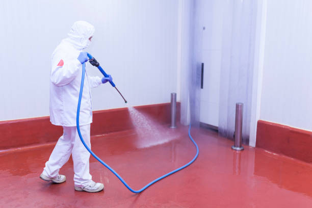 Best Building Exterior Pressure Washing in Denver, NC