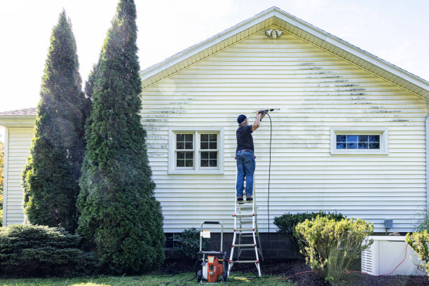 Best Brick and Stone Cleaning in Denver, NC